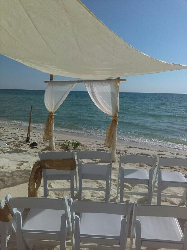 Chair Covers photo 5