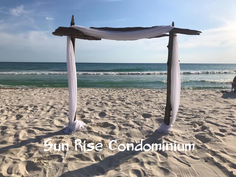 Driftwood three-pole arch beach