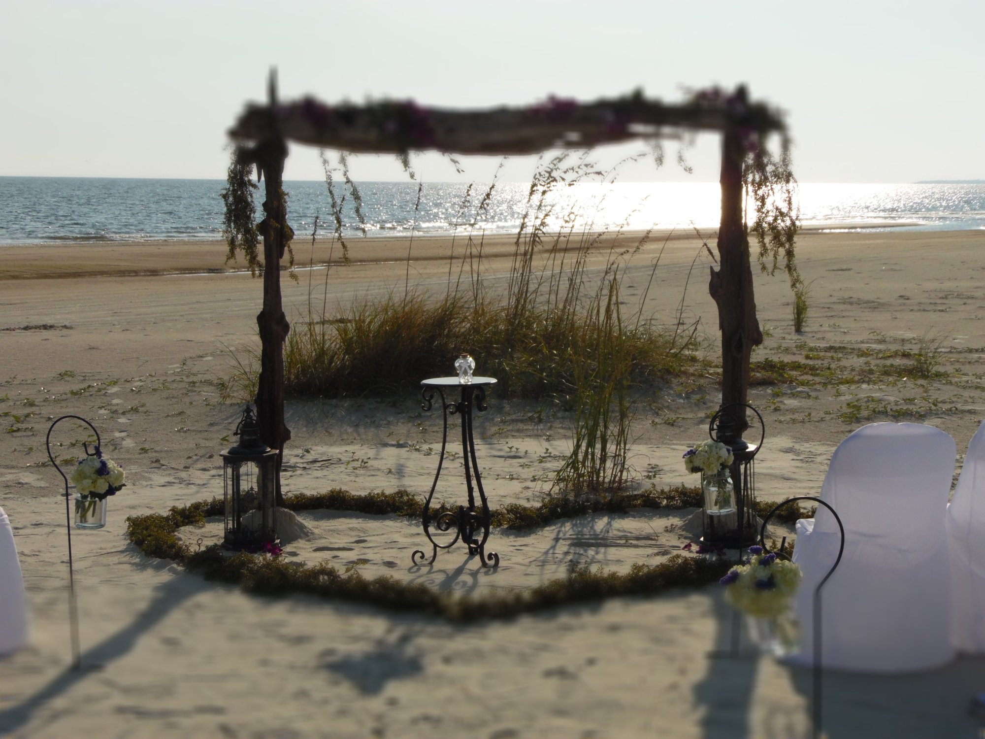 Driftwood arch with heart moss ring and lanterns